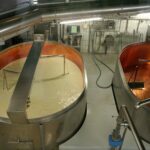 Stainless steel cheese vats separating curds and whey in a dairy plant, illustrating sub-tier supplier risk management in food and beverage